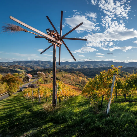 Weingärten in der Südateiermark im Herbst, davor ein Klapptet