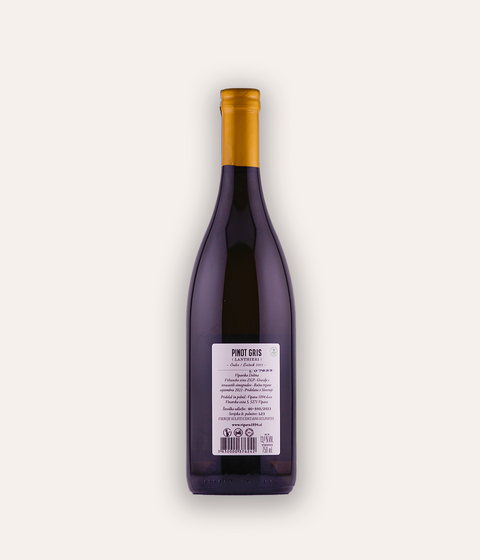 Winery Vipava Pinot Gris Lanthieri