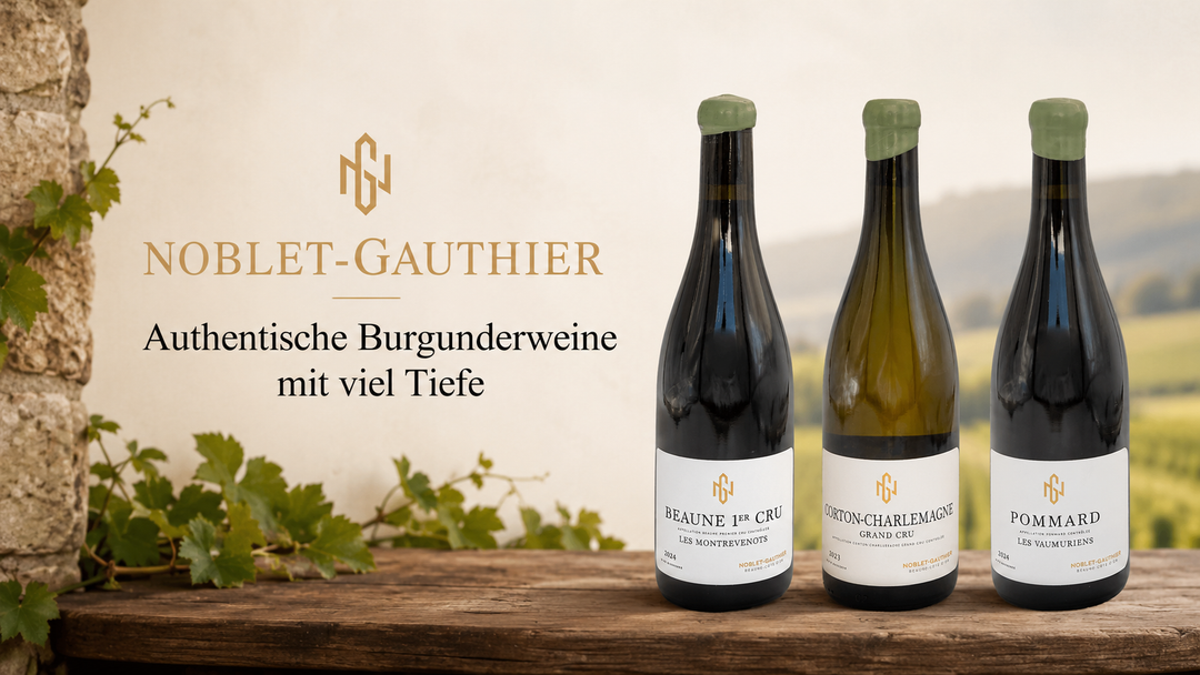 Noblet-Gauthier – Authentische Burgunderweine mit viel Tiefe