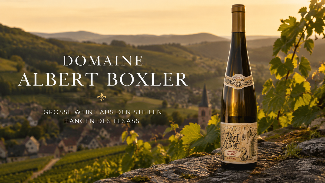 Domaine Albert Boxler – Große Weine aus den Granithängen des Elsass