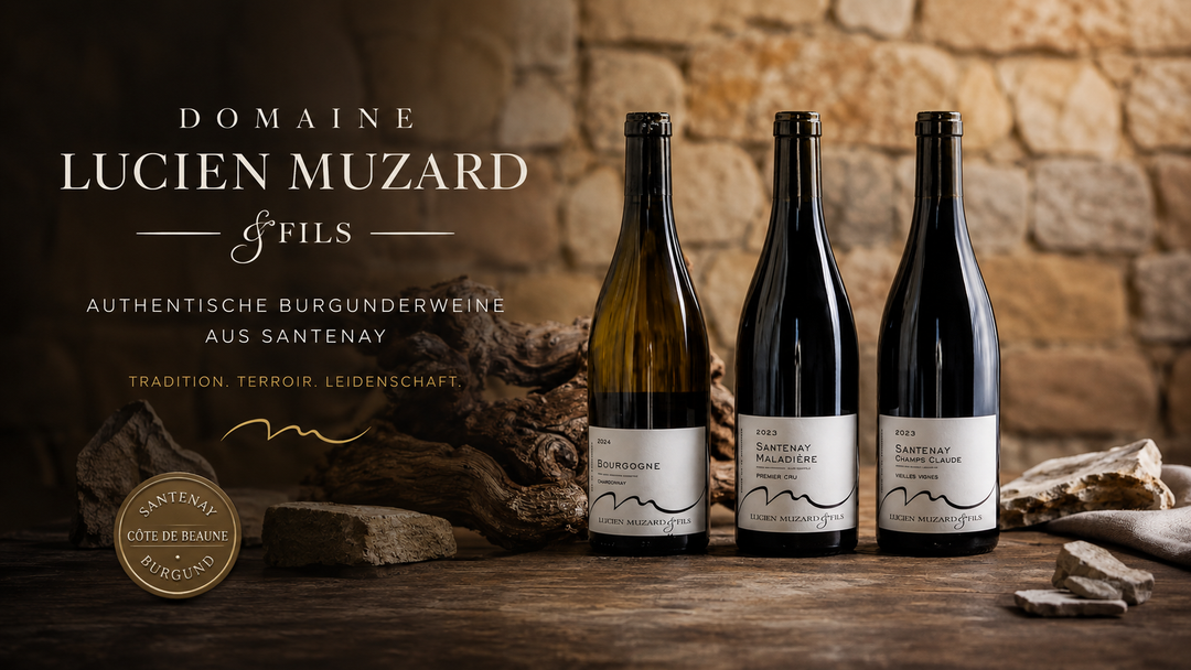 Domaine Lucien Muzard & Fils – Burgunderweine mit Charakter aus Santenay