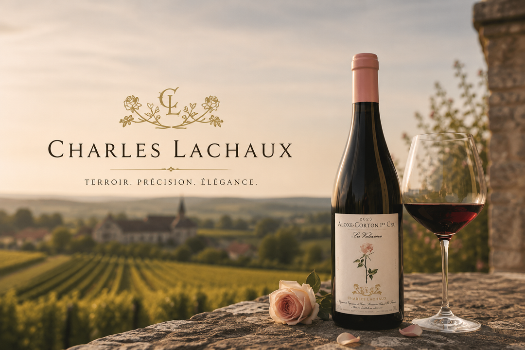 Charles Lachaux – Der Visionär des modernen Burgunds