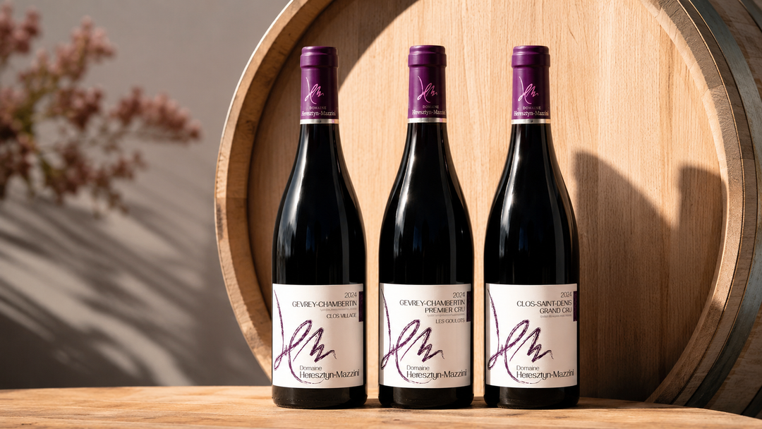 Domaine Heresztyn-Mazzini – Terroir aus dem Herzen der Côte de Nuits