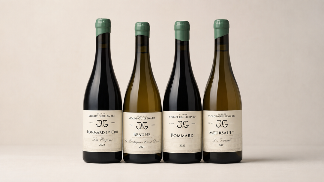 Domaine Violot-Guillemard, die elegante Seite von Pommard