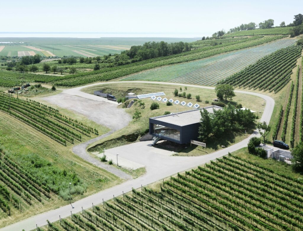 Leo Hillinger: Populäre Weine aus dem Burgenland