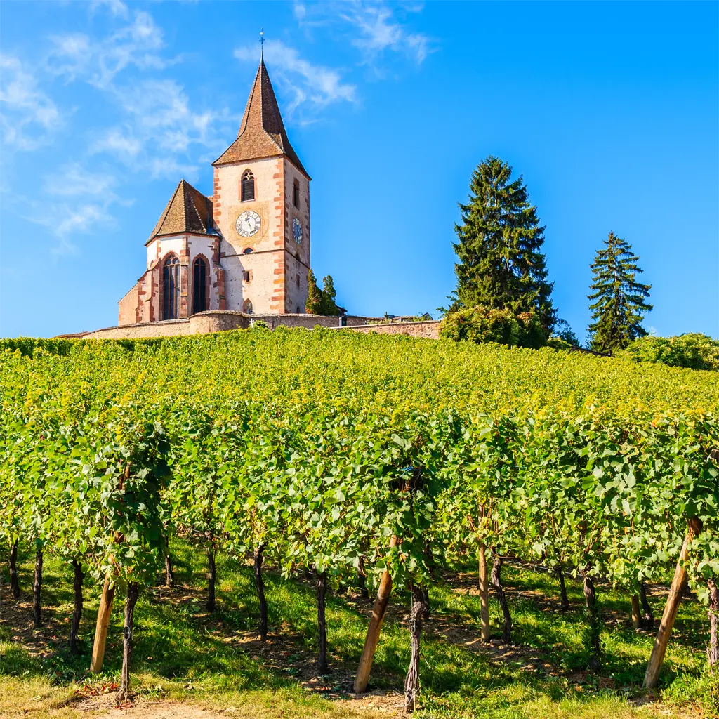 Elsass