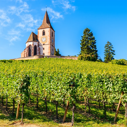 Elsass