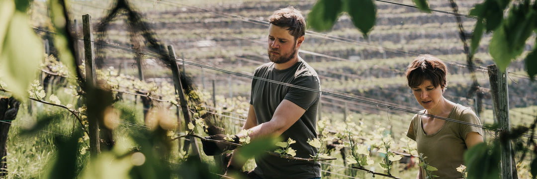 Weingut Gross