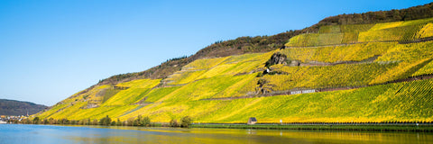 Mosel
