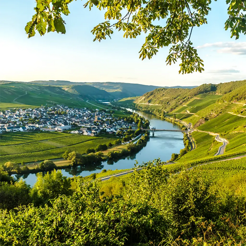 Mosel