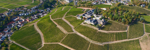 Weinberge bei Rüdesheim am Rhein in der Weinbauregion Rheingau, Deutschland