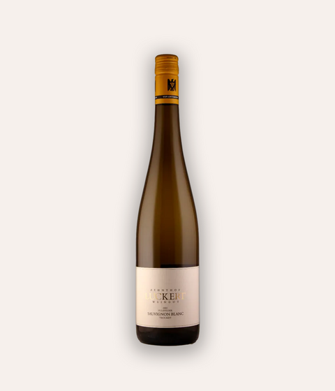 Winery Zehnthof Luckert Sulzfelder Sauvignon Blanc 2022