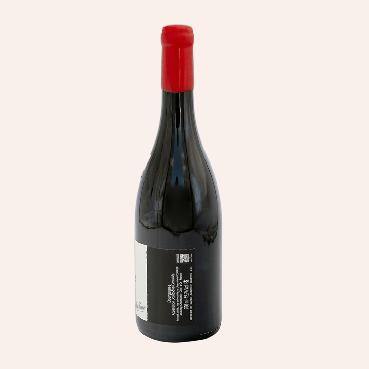 Domaine Fourrier – Bourgogne Pinot Noir 2024