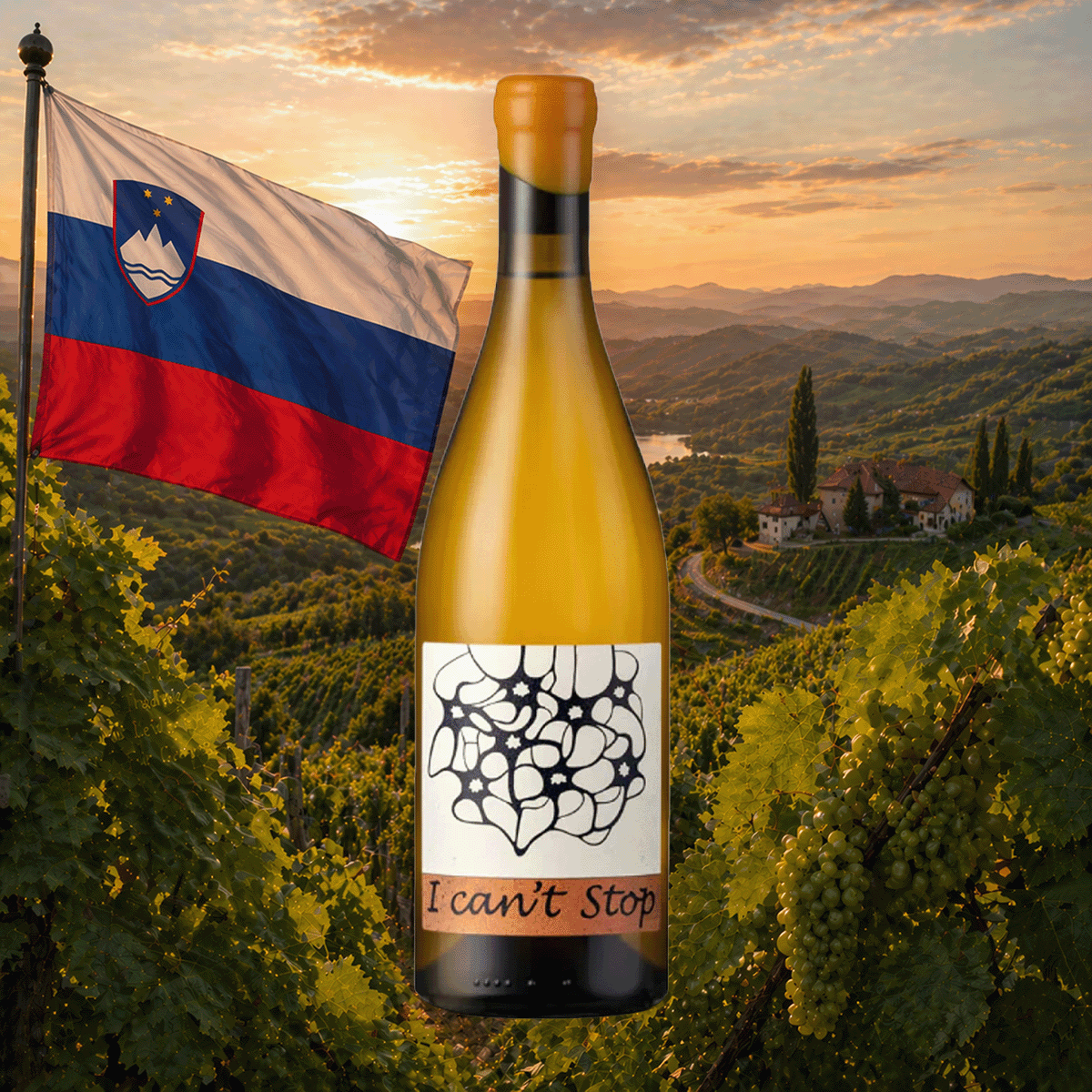 Weinflasche Edi Simčič – Sauvignonasse "I can't Stop" BRDA BELO 2021
