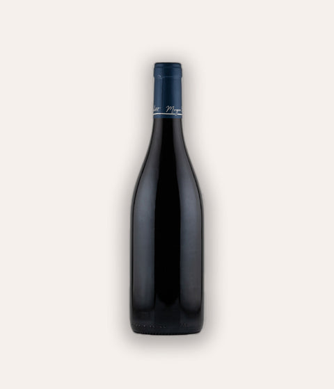Morgan Truchetet Nuits Saint Georges 1er Cru "Les Vallerots" 2022