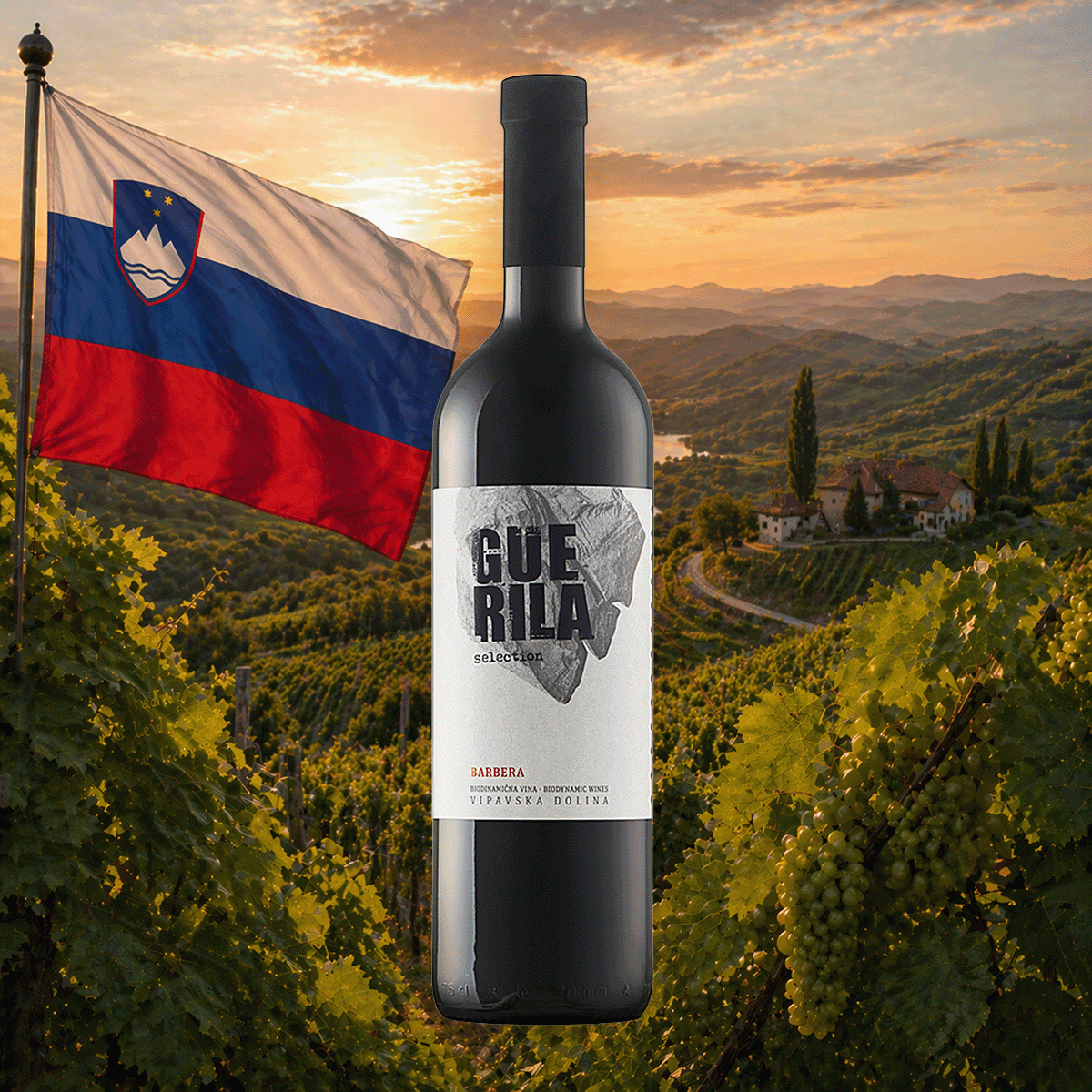 Weinflasche Guerila – Barbera Selection 2022 Bio
