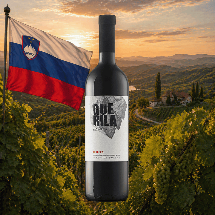 Weinflasche Guerila – Barbera Selection 2022 Bio