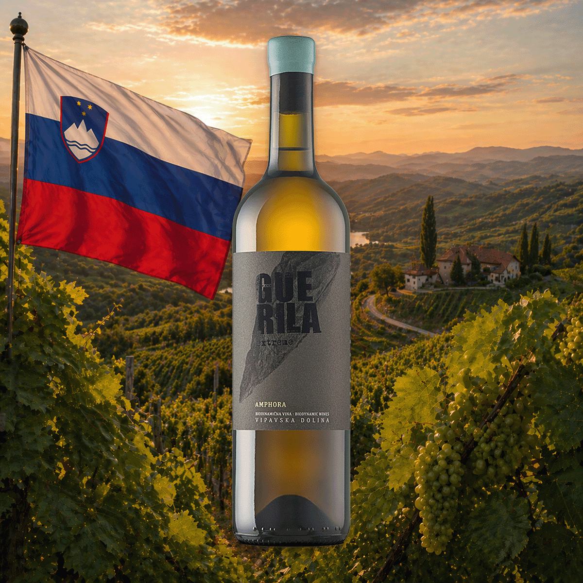 Weinflasche Guerila – Rebula "Amphora" 2022 Bio