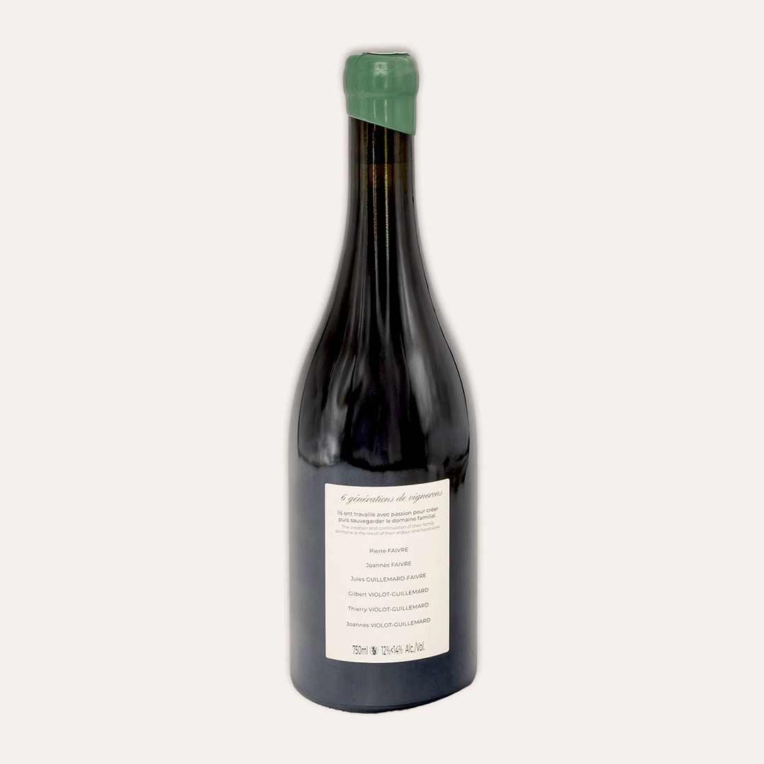 Domaine Violot-Guillemard – Bourgogne Hautes-Côtes de Beaune “En Château Clos” Monopole 2023