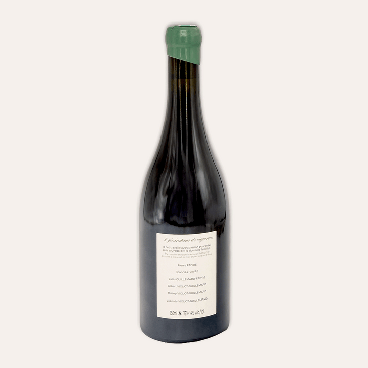 Domaine Violot-Guillemard – Bourgogne Hautes-Côtes de Beaune “En Château Clos” Monopole 2023