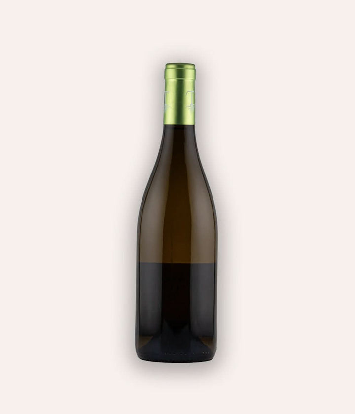 Weinflasche Domaine Truchetet – Bourgogne Hautes Cotes de Nuits "La Montagne" blanc 2022