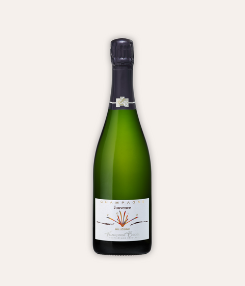 Francoise Bedel, Champagne Jouvence Extra Brut, 2013, Trinkvergnügen, Champagner
