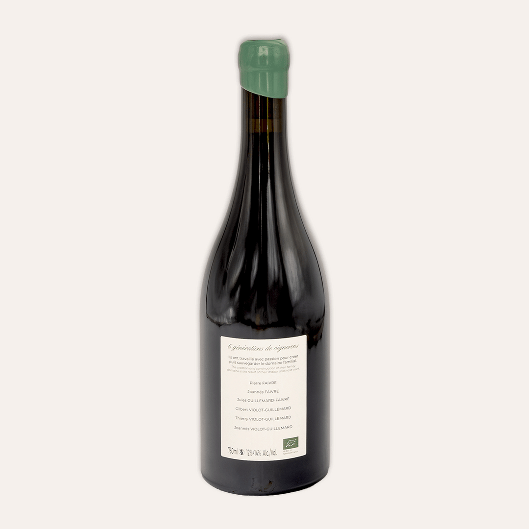 Domaine Violot-Guillemard – Pommard “Les Rugiens” 1er Cru 2023