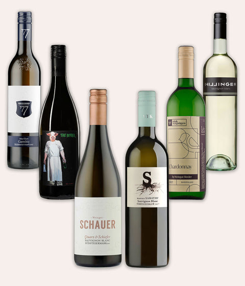 Steiermark-Burgenland-Weinpaket – "Der Panther am See"