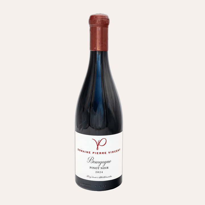 Domaine Pierre Vincent – Bourgogne Pinot Noir 2024