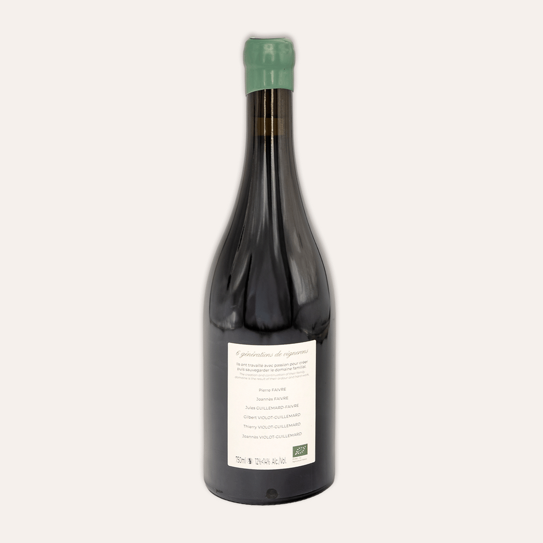 Domaine Violot-Guillemard – Pommard 2023