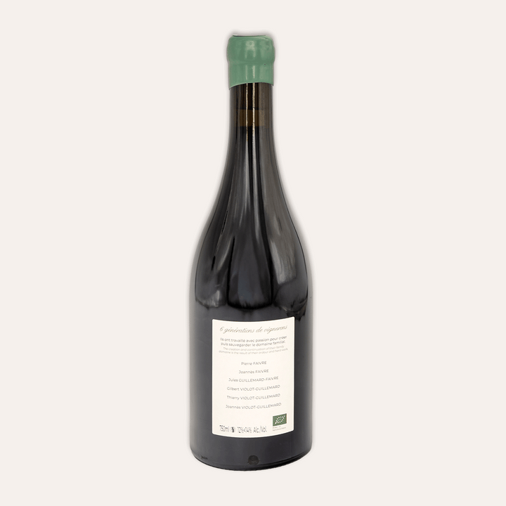 Domaine Violot-Guillemard – Pommard 2023