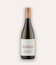 Weingut Schauer, Sauvignon Blanc, 2022, Trinkvergnügen, Wein