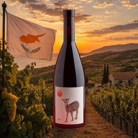 Weinflasche Vouni Panayia – Red Balloon 2023