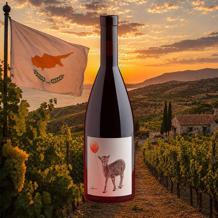 Weinflasche Vouni Panayia – Red Balloon 2023