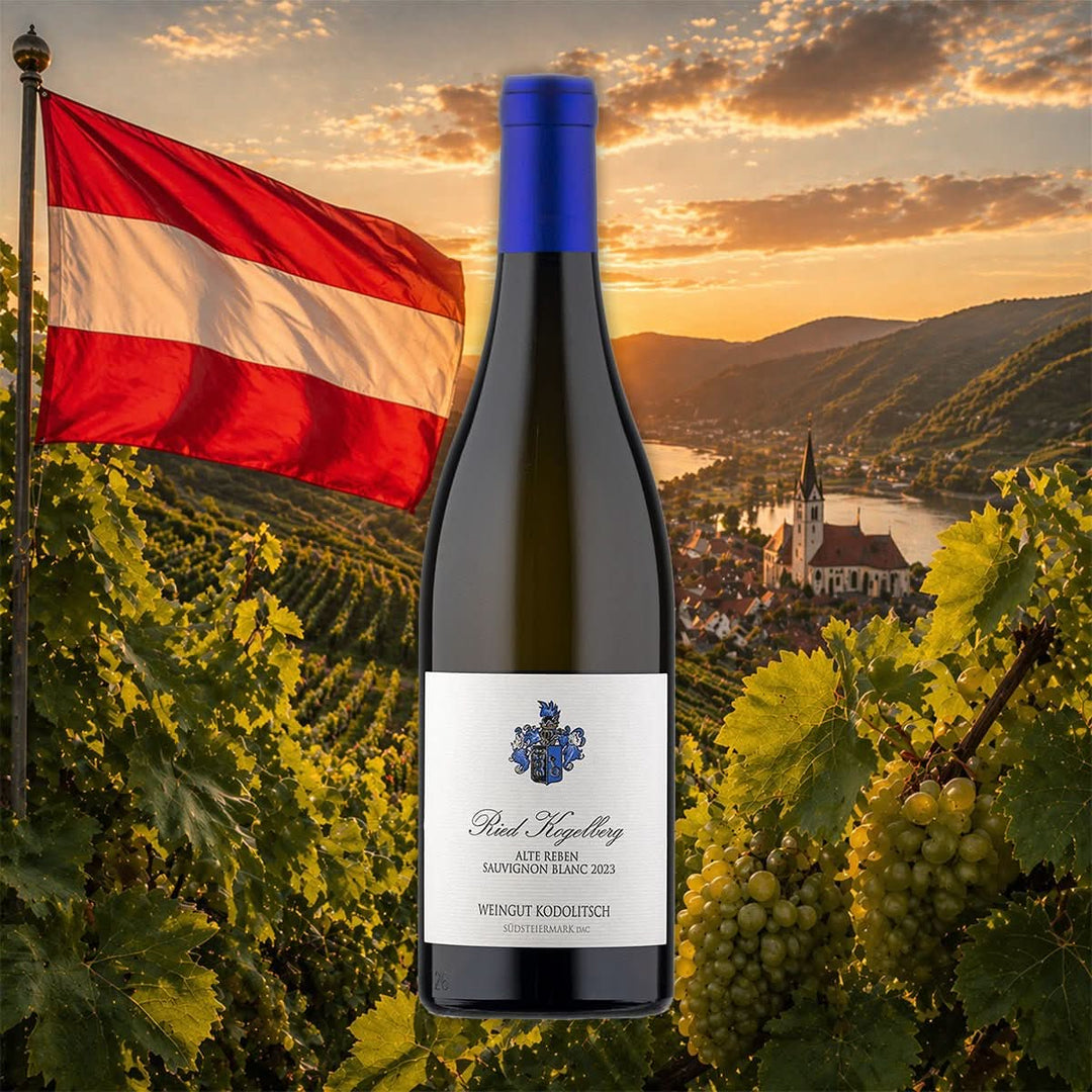 Weinflasche Kodolitsch - RIED KOGELBERG Sauvignon Blanc Alte Reben 2023