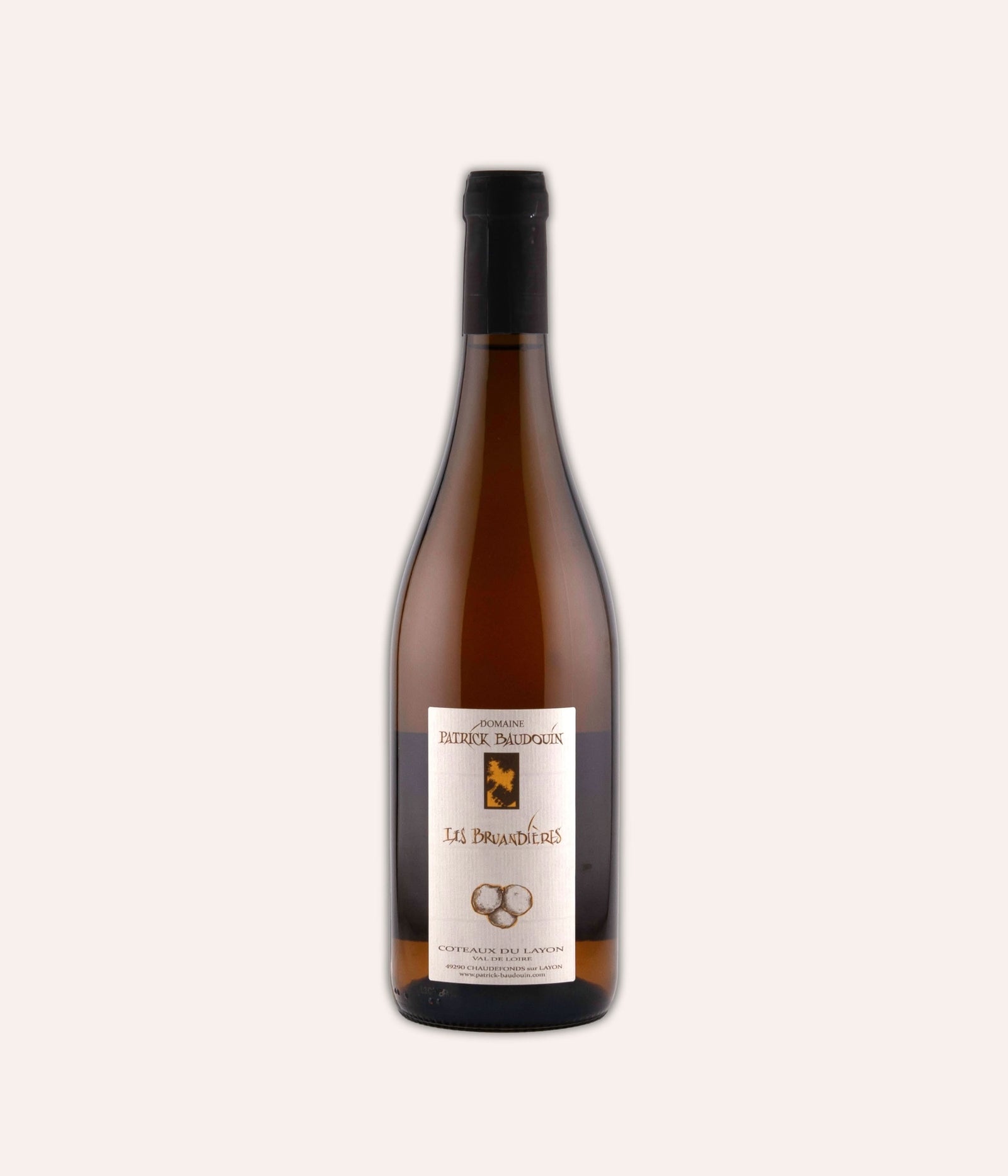 Weinflasche Patrick Baudouin – Coteaux du Layon "Bruandieres" 2022