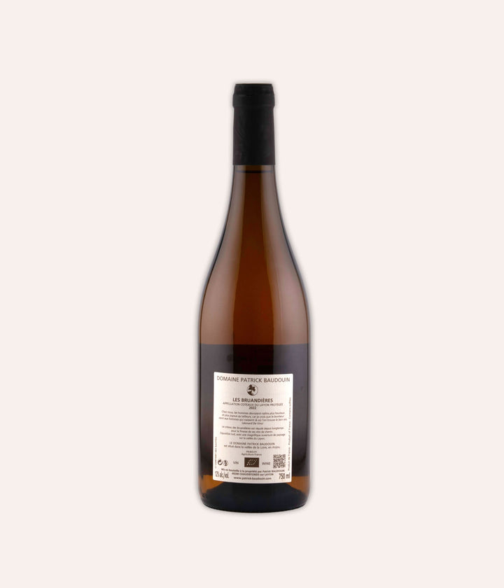 Weinflasche Patrick Baudouin – Coteaux du Layon "Bruandieres" 2022