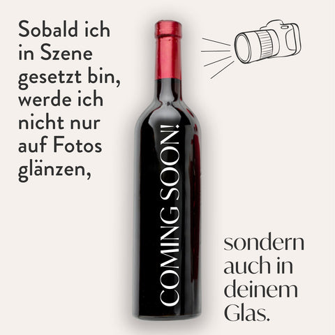 Morgan Truchetet Morey-Saint-Denis rouge 2022