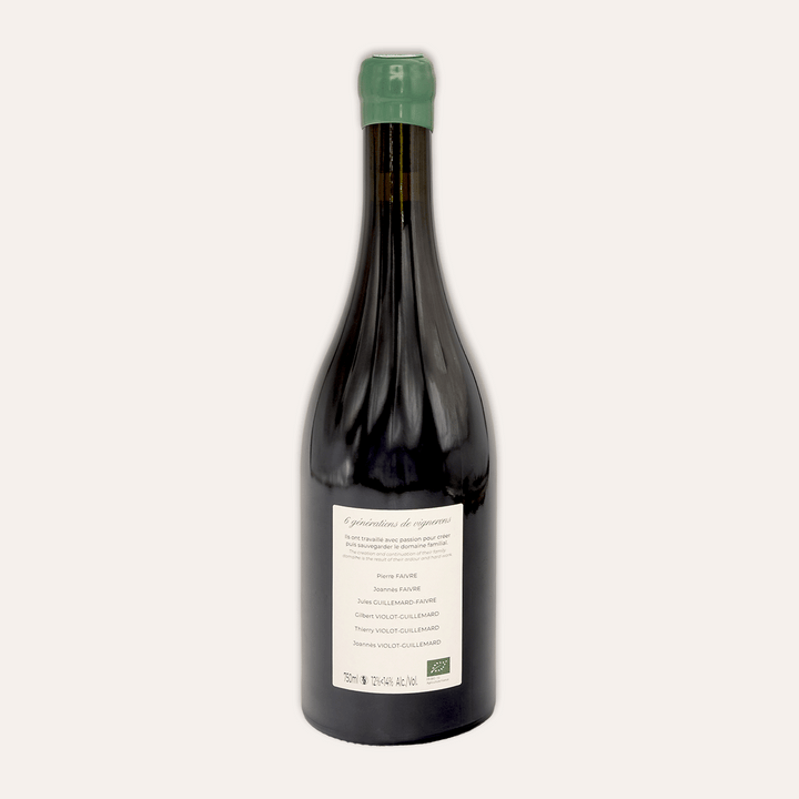 Domaine Violot-Guillemard – Volnay "Vieilles Vignes" 2023