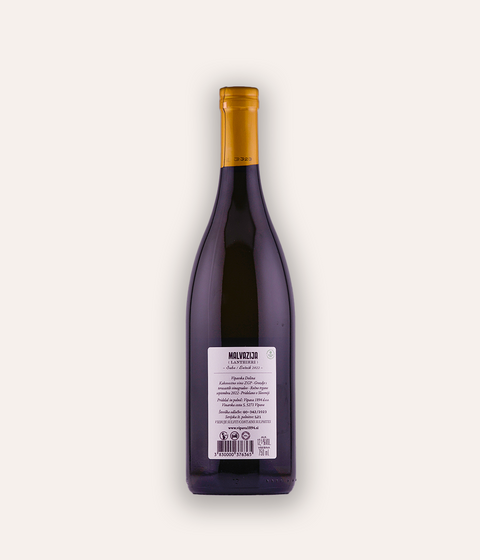 Winery Vipava Malvazija Lanthieri