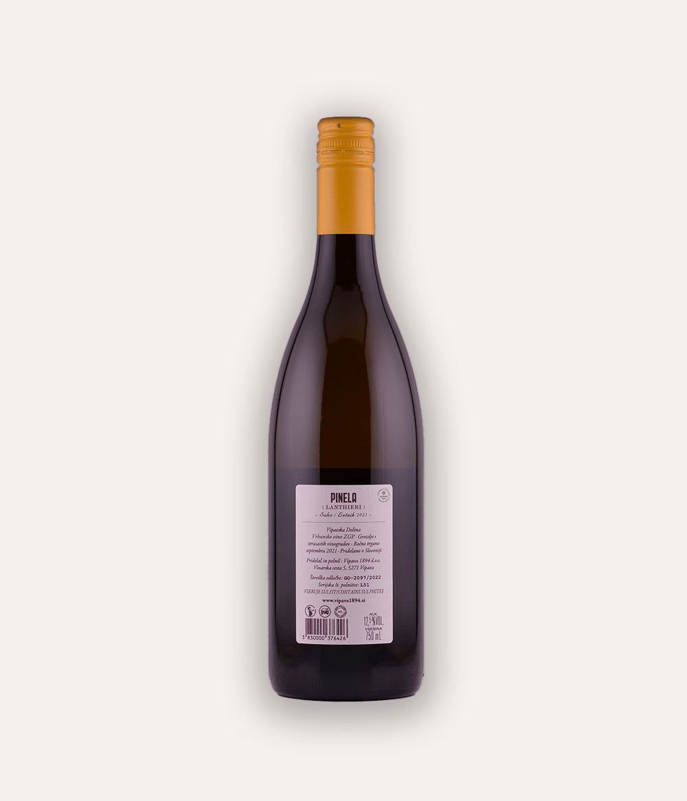 Weinflasche Vipava 1896 – Pinela Terase 2021 – klare Flasche mit orangefarbener Schraubkapsel, hellfarbenes Etikett mit großer VIPAVA 1894 Aufschrift und Weinsorte Slovenija