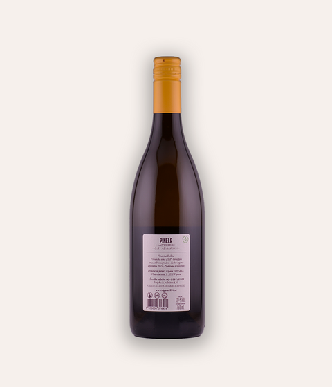 Winery Vipava Pinela Terase